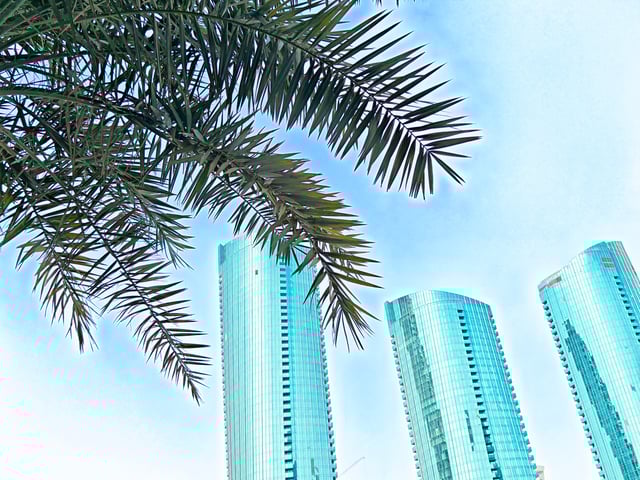 Little Tips From Recent Tongan Visitors